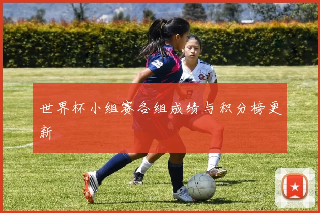世界杯小组赛各组成绩与积分榜更新