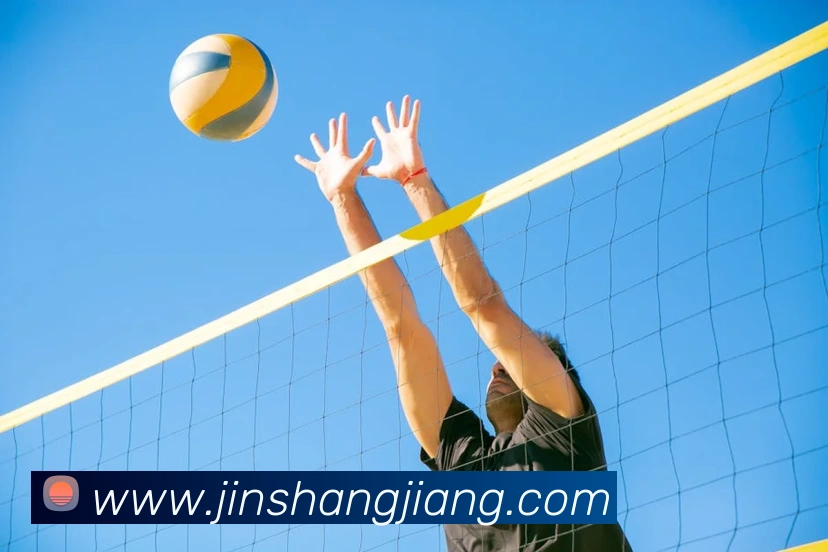 投注app官网平台生态图